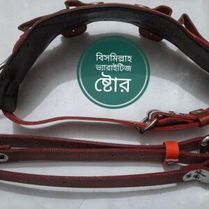 Linemen body belt in Bangladesh