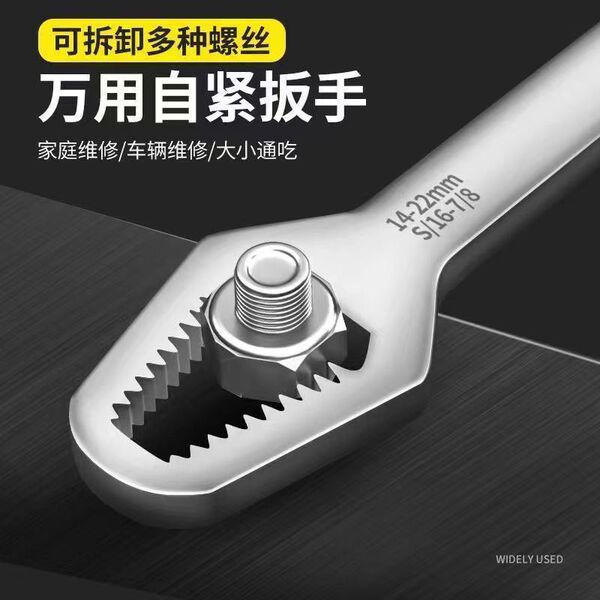 Double- Headed Spanner Wrench